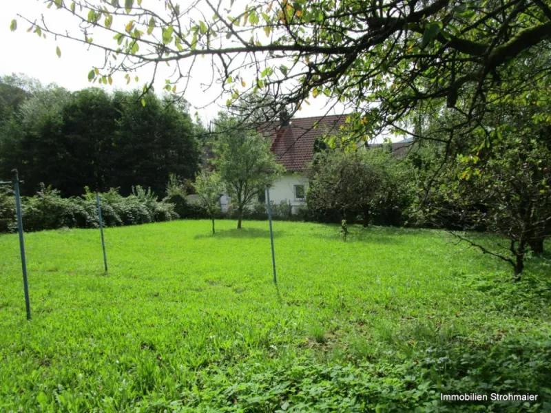 Baugrundstück - Grundstück kaufen in Hersbruck - Bauplatz für Einfamilienhaus am Ortsrand