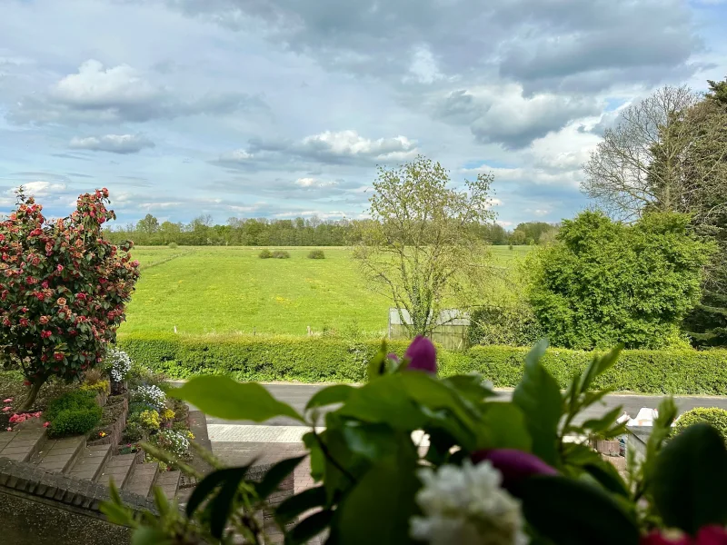 Ausblick Wohnzimmer 