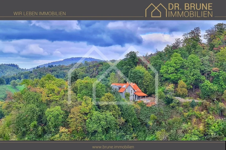 Haus in Natur Titel mR - Haus kaufen in Seeheim-Jugenheim / Balkhausen - EFH in wunderschöner Natur mit Traumblick, Garten und Traumgrundstück