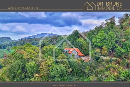 Haus in Natur Titel mR - Haus kaufen in Seeheim-Jugenheim / Balkhausen - EFH in wunderschöner Natur mit Traumblick, Garten und Traumgrundstück