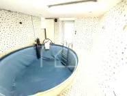 Pool Souterrain