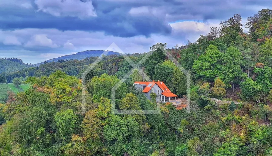 Foto Haus in Natur