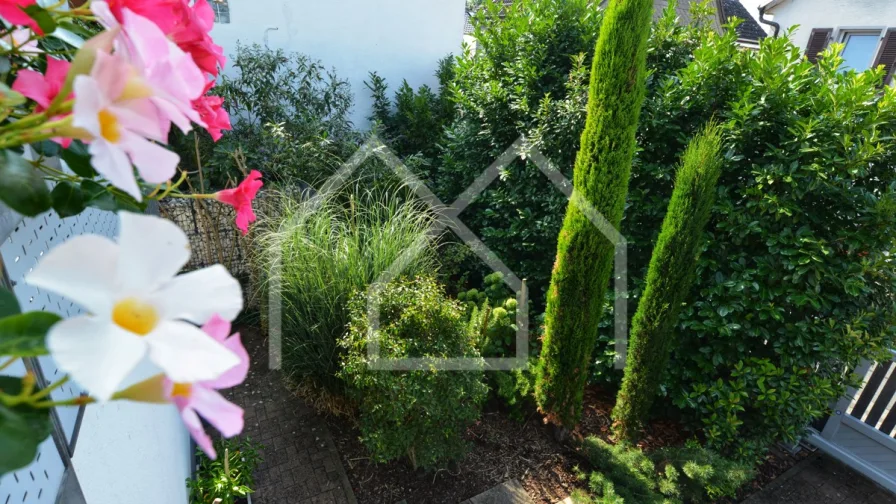 Blick auf den Garten