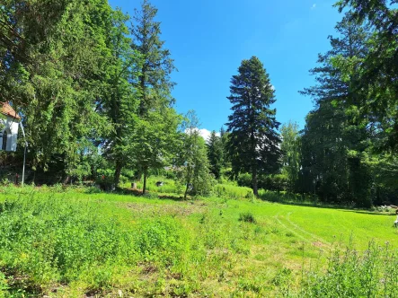 Kraftplatz in der Natur - Grundstück kaufen in Berg - Baugrundstück in ländlicher Lage, nahe Bergen und Starnberger See