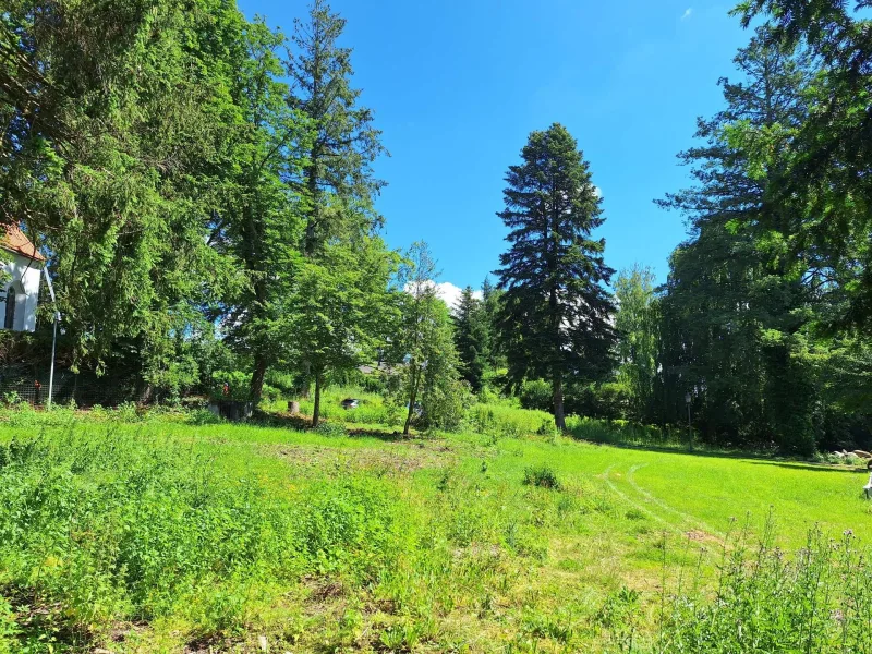 Kraftplatz in der Natur - Grundstück kaufen in Berg - Auch teilbar: Baugrundstück in ländlicher Lage in Berg nahe Starnberger See