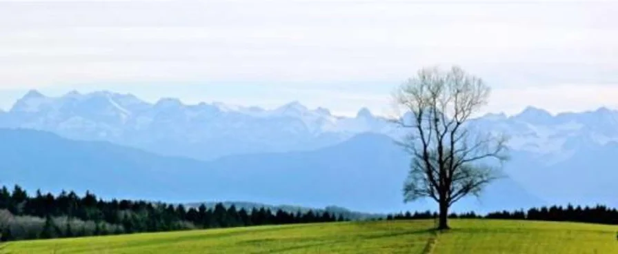 alpen-vor-aufkirchen