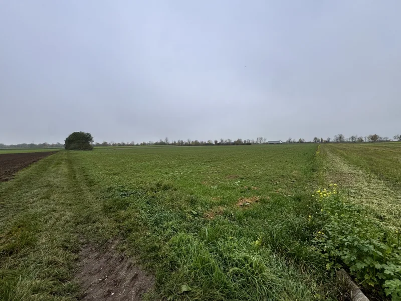 Ansicht von Osten - Land- und Forstwirtschaft kaufen in Königsbrunn - TOP Acker-Grünlandfläche zwischen Königsbrunn und Oberottmarshausen "Viehweide"