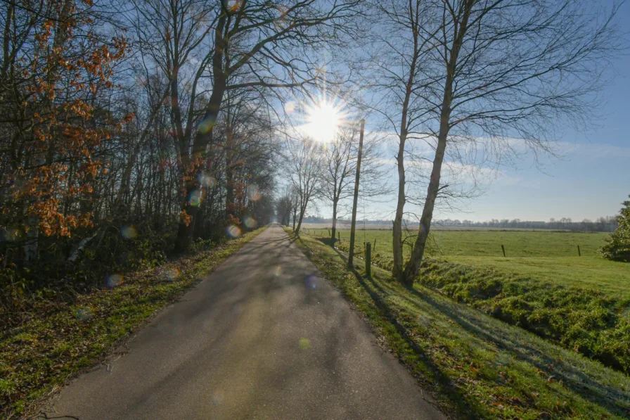 Blick in die ruhige Straße 