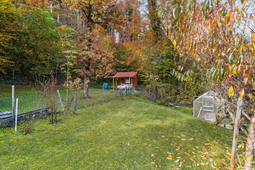 Freizeitgrundstück mit Blick in den Wald