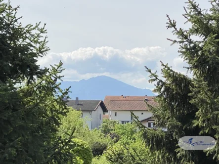 Bergblick - Wohnung kaufen in Chieming - Charmante 2-Zimmer Erdgeschosswohnung