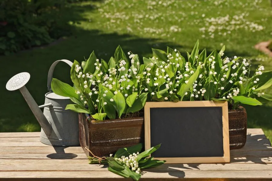 Wohnung mit herrlichem Garten