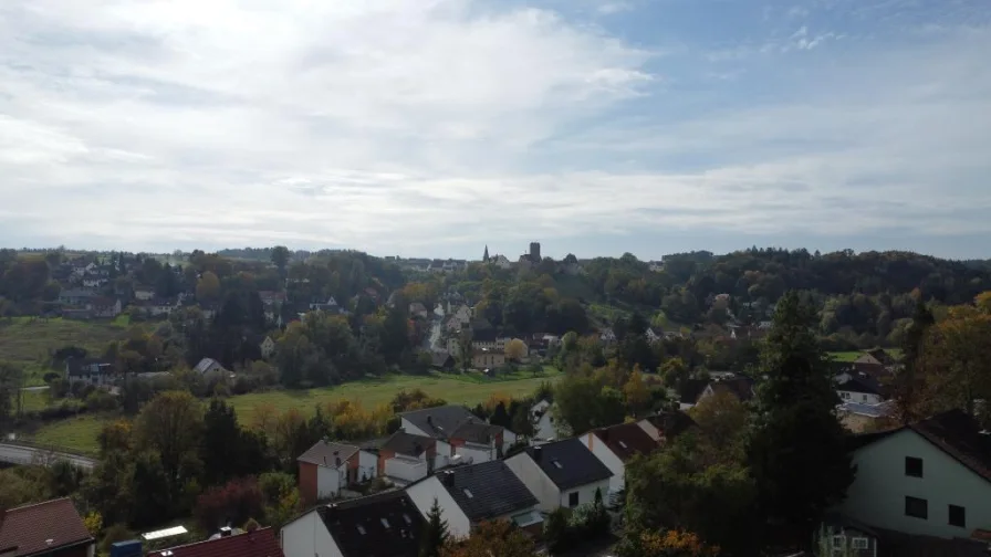 Panoramablick zur Burg