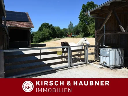 Ein Traum für Reiter - Haus kaufen in Kastl - Ein Traum für Pferdeliebhaber!Kastl - Umelsdorf 