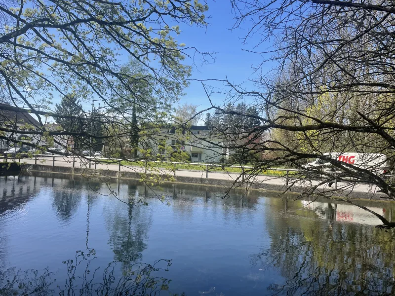 Kleiner Weiher in der Nähe