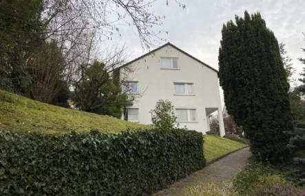 Vorderseite mit Aufgang - Haus kaufen in Miltenberg - Mehrfamilienhaus in Miltenberg