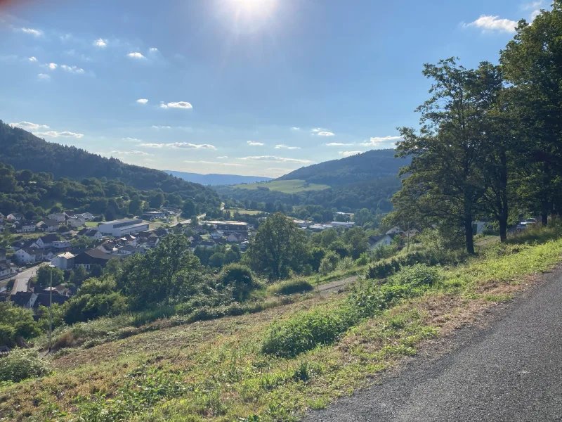  - Grundstück kaufen in Eichenbühl - Baugrundstück in Aussichtslage