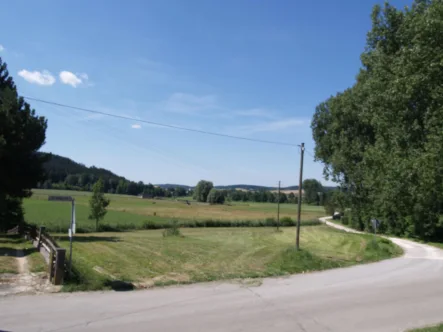 Bild 01 - Grundstück kaufen in Hegnenbach - Eckgrundstück - Ortsrandlage mit Baurecht für ein Einfamilienhaus Leicht abfallende Südwestlage.