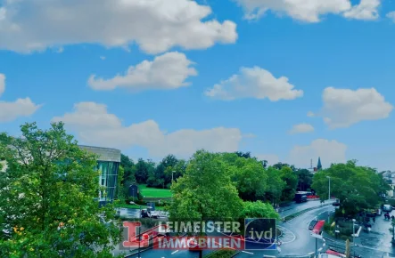 Aussicht in den Park - Wohnung kaufen in Aschaffenburg - GEMÜTLICHE 2 ZI-WHG MIT AUFZUG UND BLICK IN DEN SCHÖNTAL