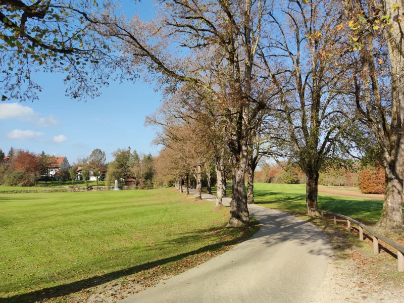 Hauptbild - Wohnung mieten in Egling - MÜNCHNER IG: Direkt am Golfplatz - Helle & schöne Wohnung in ruhiger Lage!