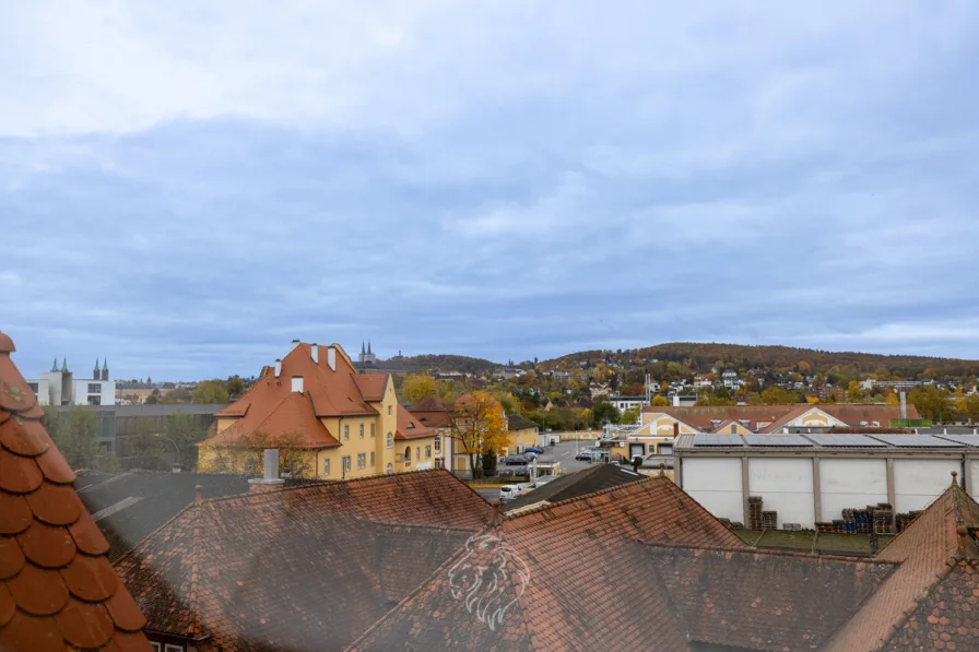 Ausblick Fenster DG