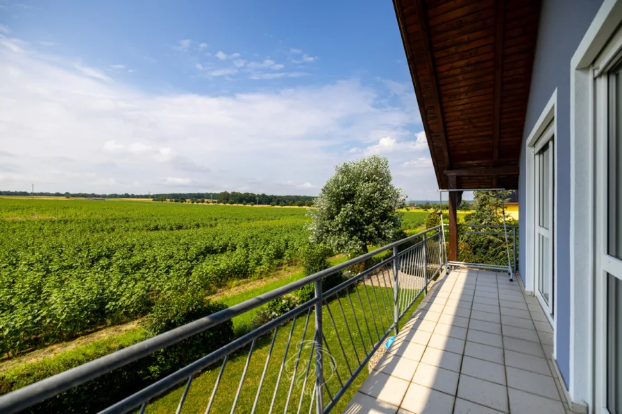 Ausblick Balkon OG