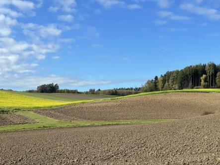 Acker - Grundstück kaufen in Egglham - DIPLOM-Immowirt MAIER !! 14.800 m2 Ackerflächen aufgeteilt in 2 Flurnummern !!
