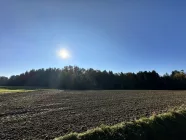 Blick vom Balkon