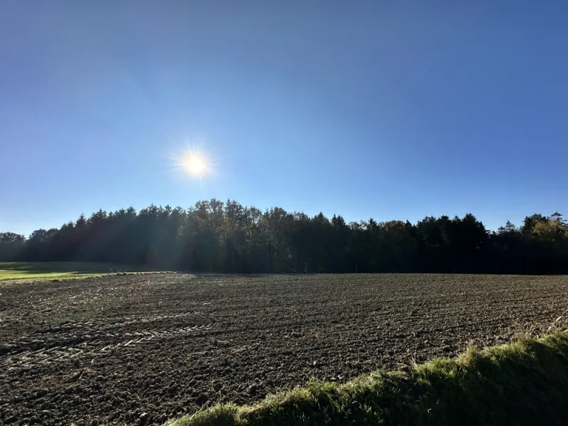 Blick vom Balkon