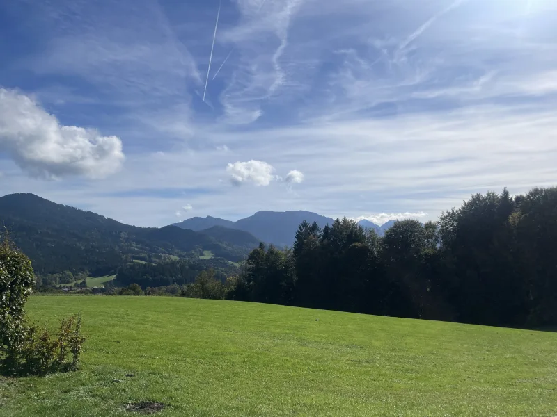 Ausblick - Haus kaufen in Siegsdorf - Bauernhaus mit Stall und Tenne in idyllischer Weilerlage auf Anhöhe Nähe Siegsdorf - Bergpanorama