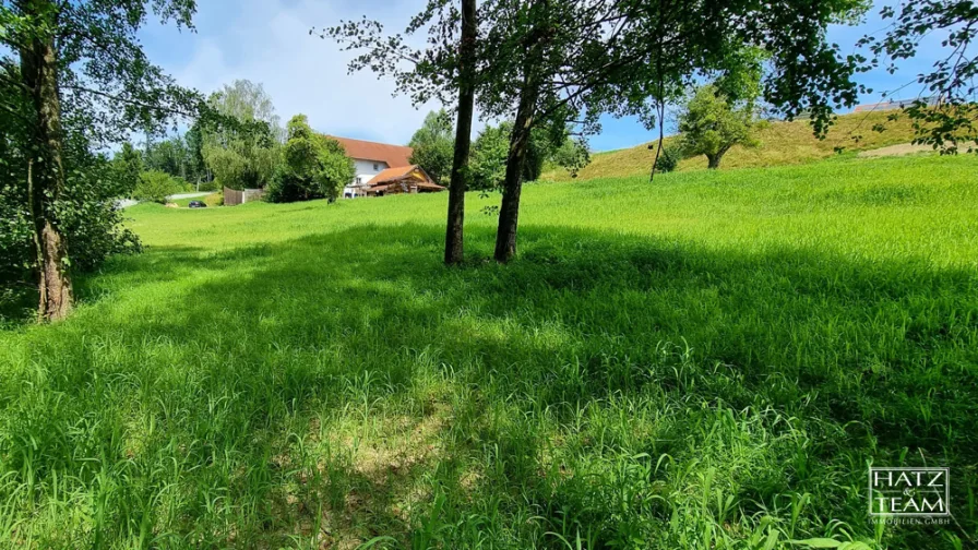 Blick vom Südgrundstück auf das Haus