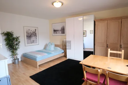 Wohnbereich - Wohnung mieten in Nürnberg - Single-Appartement mit Pantryküche in St. Johannis