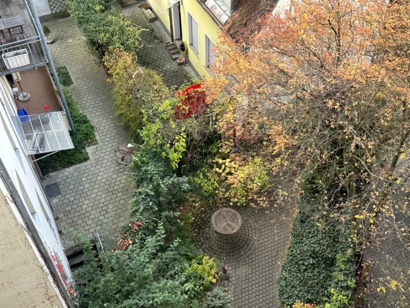 Blick in den Garten