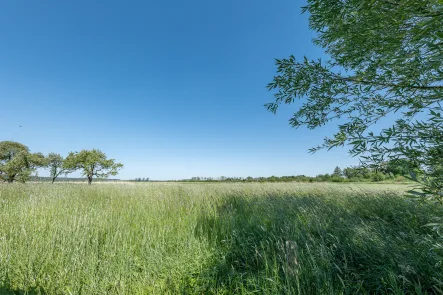 Aussicht hinterm Haus - Haus kaufen in Oberndorf - Naturliebhaber aufgepasst!