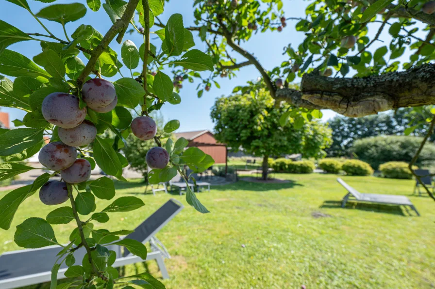 Obstbäume - Haus kaufen in Jork - Vier exklusive Residenzen in Jork – Historischer Ferienhof im Alten-Land!