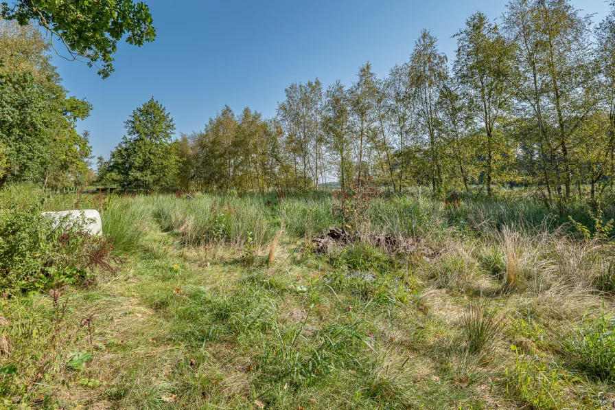 Grünland hinter dem Haus