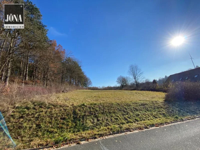  - Grundstück kaufen in Kulmbach - Ländliche Idylle - großzügiges Grundstück mit Wiese und Wald in Kirchleus