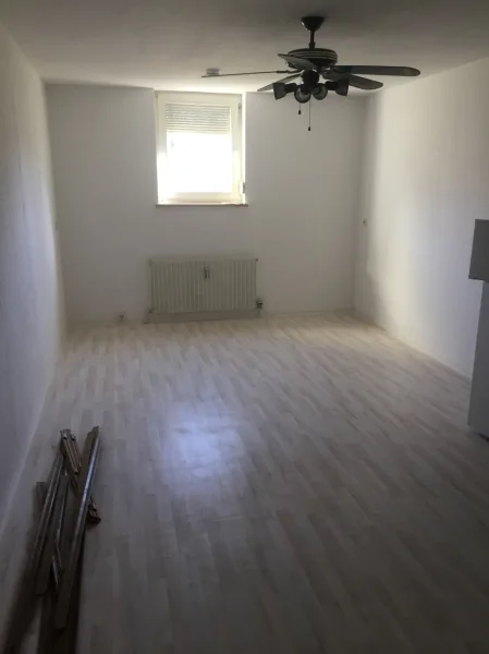 1-Zimmer-Apartement