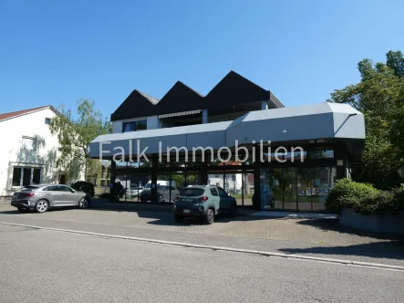 Ansicht Straßenseite Eingang - Büro/Praxis mieten in Schwetzingen - ***Anmieten und durchstarten! Vielseitige Gewerbefläche in Schwetzingen-Hirschacker***