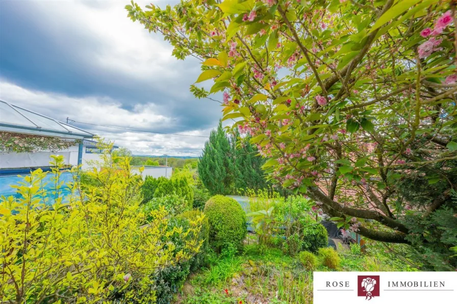 Ausblick Balkon