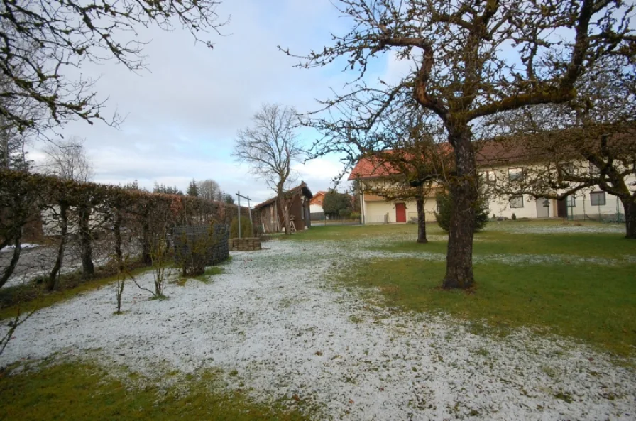 Grundstück mit Hausansicht