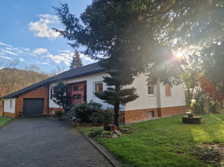 Außenansicht - Haus kaufen in Thalmässing - Einfamilienhaus mit idyllischem Gartenteich und Erweiterungspotenzial