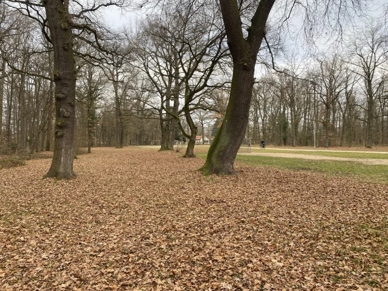 Park Forstweiher gegenüber