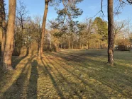 Park Forstweiher gegenüber