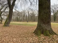 Park Forstweiher gegenüber