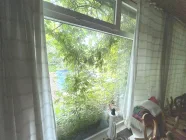 Blick vom Wohnzimmer in den Garten