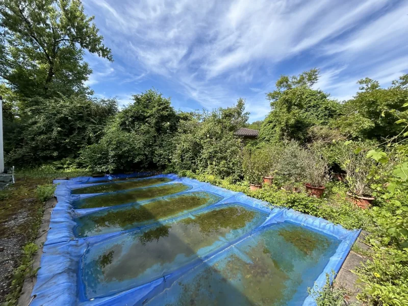 Blick vom Haus auf den Pool