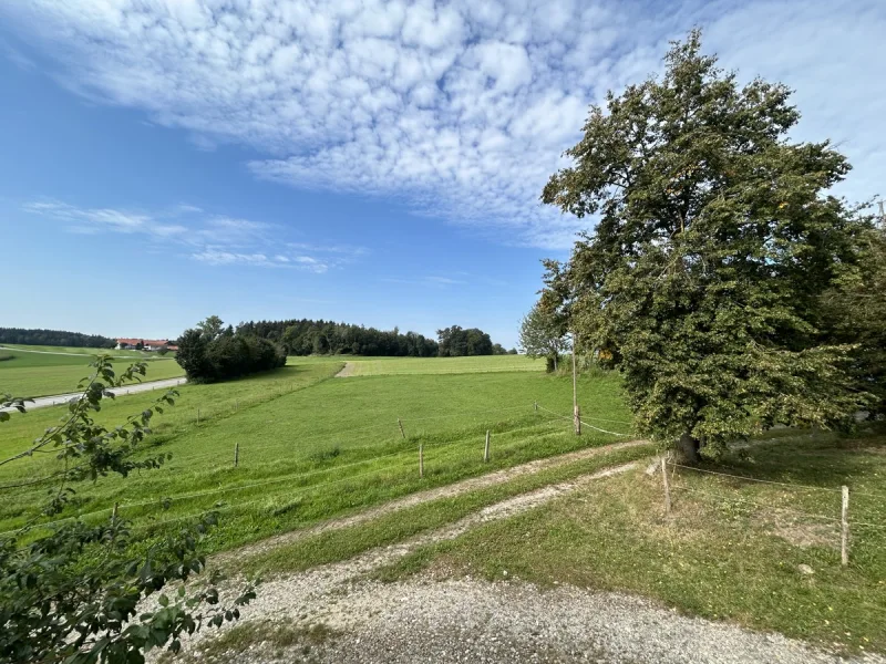 Blick auf die zugehörigen Felder, Wiesen und den Wald