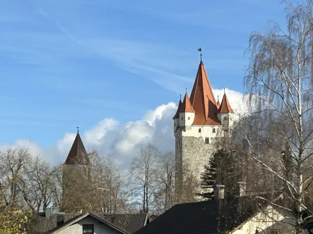 Blick auf den Haager Schlossturm - Grundstück kaufen in Haag in Oberbayern - Großes Baugrundstück in schöner und ruhiger Wohnlage in Haag i. OB