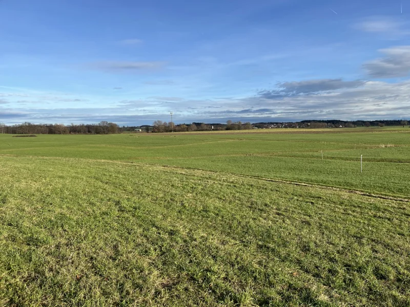 Flst. 1543 und 1567/6 - Grundstück kaufen in Emmering - Landwirtschaftliche Grünflächen in Hirschbichl