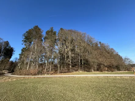  - Grundstück kaufen in Amerang - Waldgrundstück Nahe Froitshub zu verkaufen